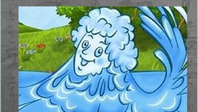 Photo of Какая система вентиляции лучше всего подходит для детского сада