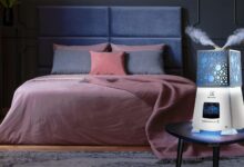 Photo of Как увлажнить воздух в доме