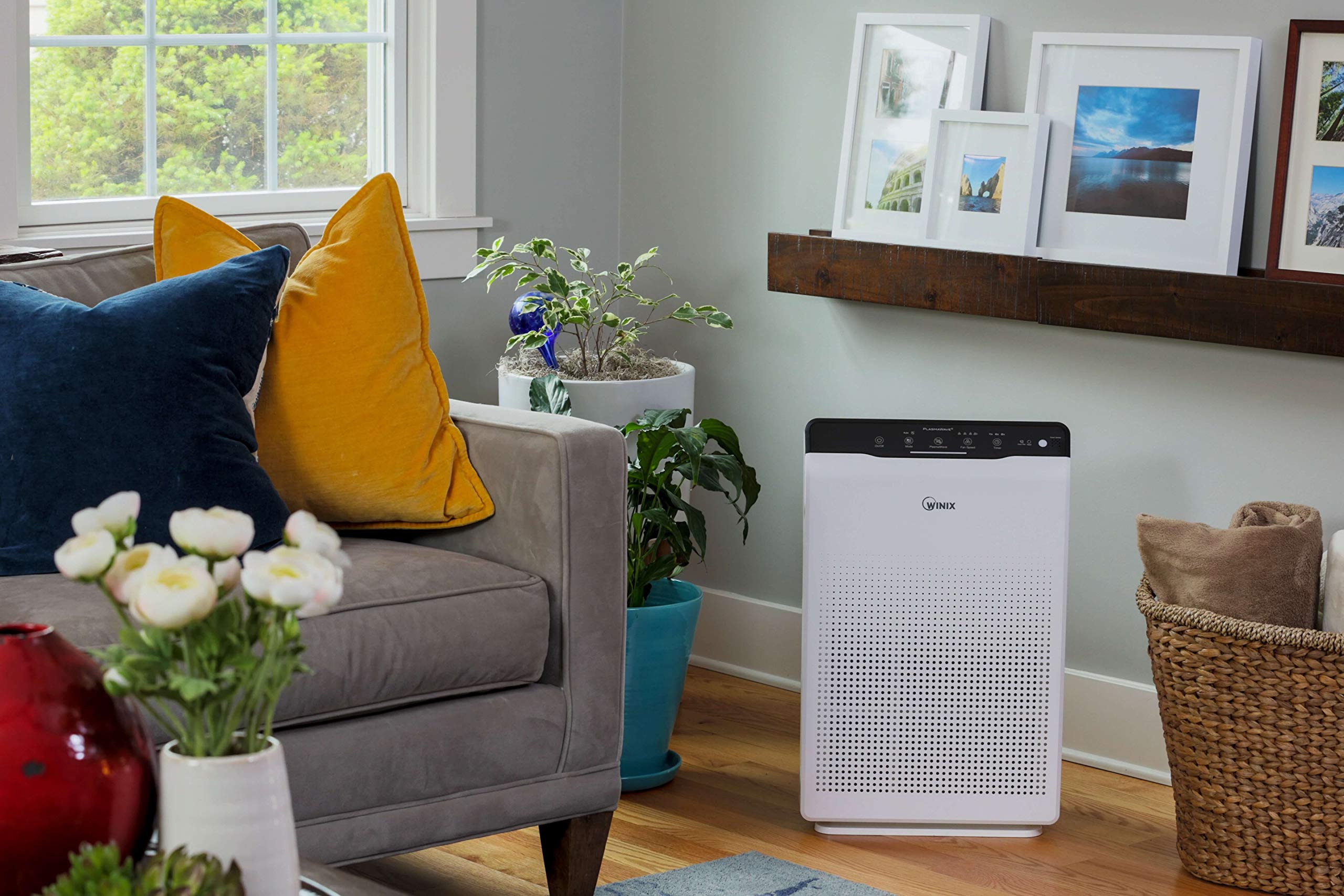 Фото 82 — Как выбрать воздухоочиститель для дома