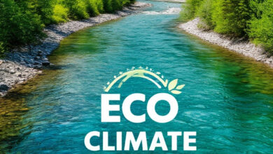 Photo of Как обеспечить оптимальный микроклимат в доме