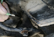 Photo of Как выбрать кондиционер с системой очистки воздуха