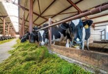 Photo of Как обеспечить оптимальный микроклимат в доме