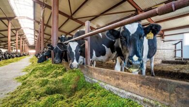 Photo of Как обеспечить оптимальный микроклимат в доме