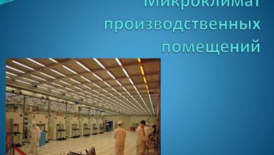 Photo of Как поддерживать микроклимат в офисе